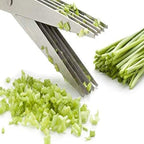 Stainless Steel 5-Blade Herb Scissors – Multi-Layer Coriander & Vegetable Cutter with Cleaning Brush