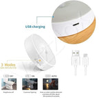 Motion Sensor Light for Home (Pack of 2) with USB Charging Wireless Self Adhesive LED Body Induction Lamp Sensor Light for Wardrobe Lights with Sensor Night Light for Cupboard Stairs (White)