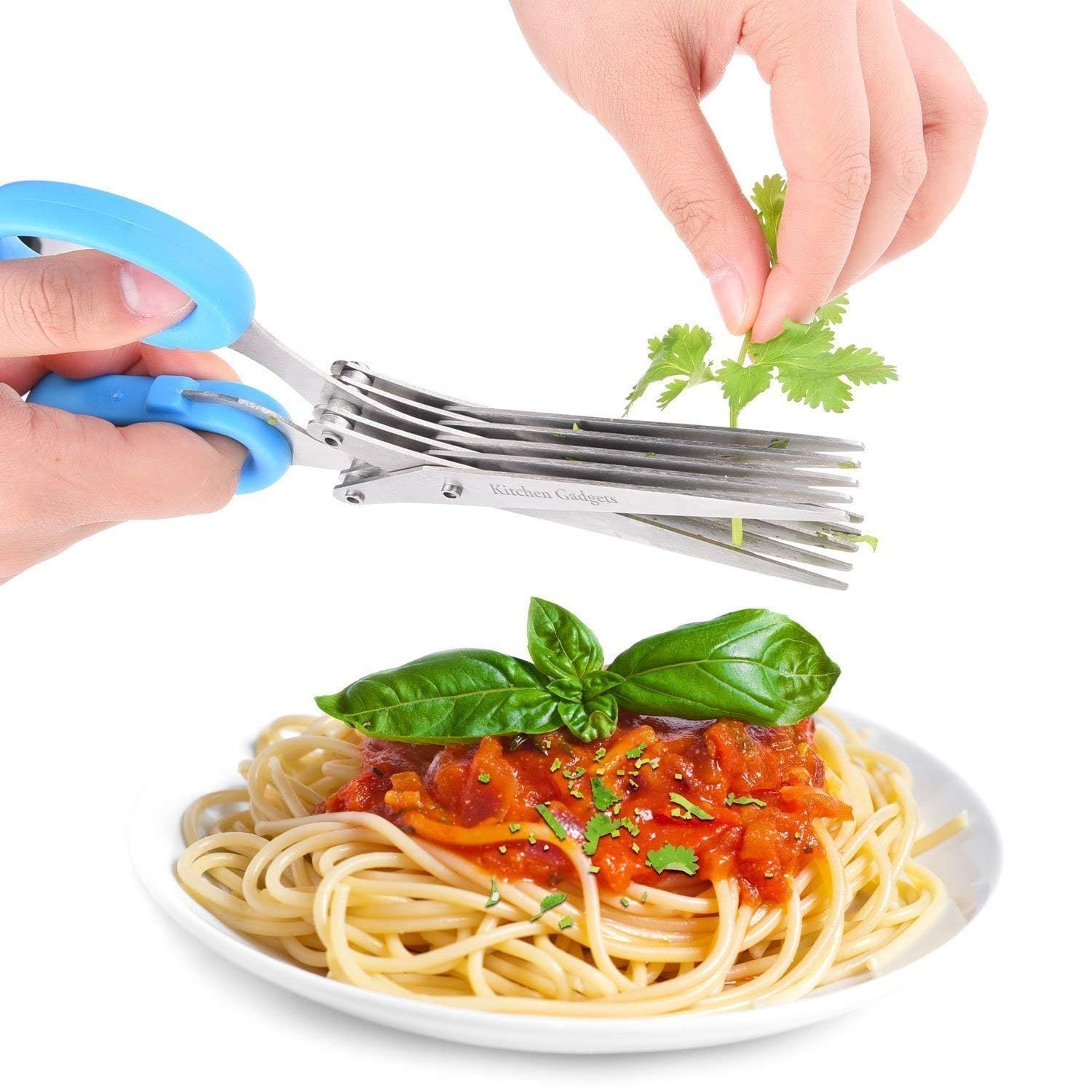 Stainless Steel 5-Blade Herb Scissors – Multi-Layer Coriander & Vegetable Cutter with Cleaning Brush